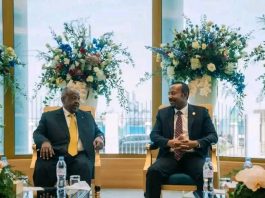 ጠቅላይ ሚኒስትር ዐቢይ አሕመድ ( ዶ.ር) በጅቡቲው ፕሬዝዳንት ኢስማኤል ኦማር ጊሌን የበዓለ ሲመት ላይ ተገኝተዋል።