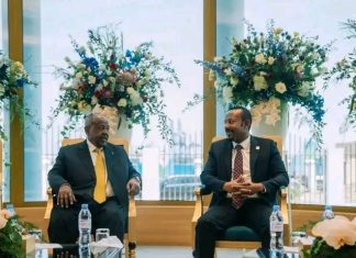 ጠቅላይ ሚኒስትር ዐቢይ አሕመድ ( ዶ.ር) በጅቡቲው ፕሬዝዳንት ኢስማኤል ኦማር ጊሌን የበዓለ ሲመት ላይ ተገኝተዋል።