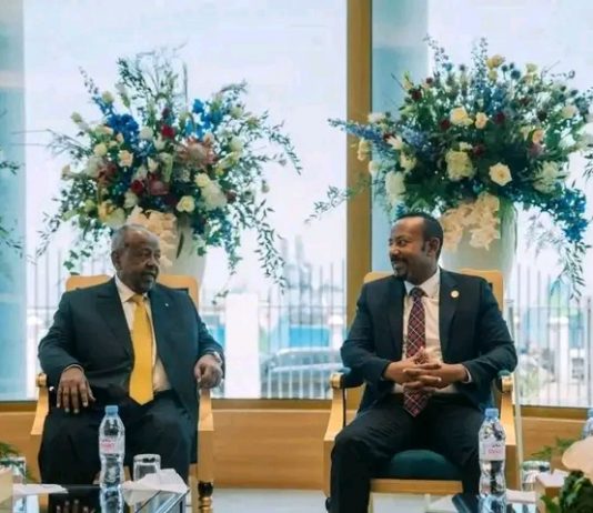 ጠቅላይ ሚኒስትር ዐቢይ አሕመድ ( ዶ.ር) በጅቡቲው ፕሬዝዳንት ኢስማኤል ኦማር ጊሌን የበዓለ ሲመት ላይ ተገኝተዋል።