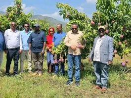 የአማራ ክልል ከፍተኛ የሥራ ኀላፊዎች በሰሜን ወሎ ዞን ራያ ቆቦ ወረዳ የልማት ሥራዎችን ጎበኙ።