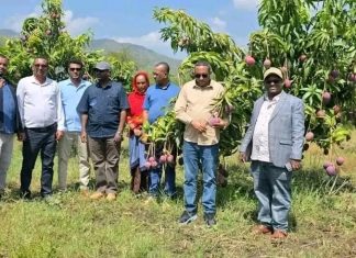 የአማራ ክልል ከፍተኛ የሥራ ኀላፊዎች በሰሜን ወሎ ዞን ራያ ቆቦ ወረዳ የልማት ሥራዎችን ጎበኙ።