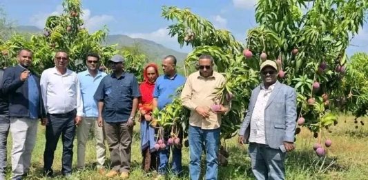 የአማራ ክልል ከፍተኛ የሥራ ኀላፊዎች በሰሜን ወሎ ዞን ራያ ቆቦ ወረዳ የልማት ሥራዎችን ጎበኙ።