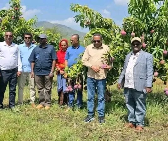የአማራ ክልል ከፍተኛ የሥራ ኀላፊዎች በሰሜን ወሎ ዞን ራያ ቆቦ ወረዳ የልማት ሥራዎችን ጎበኙ።