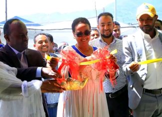 በኢትዮጵያ ታምርት ንቅናቄ በኢንዱስትሪ እና ኢንቨስትመንት ዘርፉ የነበሩ ችግሮች እየተፈቱ ነው።