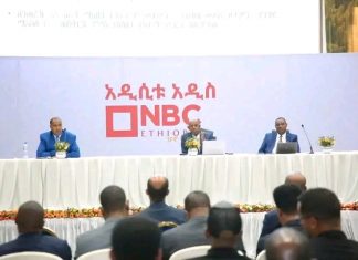 አዲስ አበባ ከተማ በአጭር ጊዜ ውስጥ በከተማ ማደስ እና ማስዋብ ከፍተኛ ለውጥ ማምጣት ችላለች።
