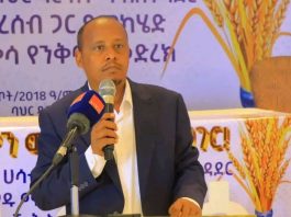 ብልጽግና ፓርቲ በተግባር የታዩ የልማት ለውጦችን አስመዝግቧል።