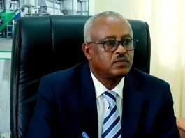 🏭 ጣና በለስ ስኳር ፋብሪካ ዳግም ስኳር ማምረት ጀመረ።