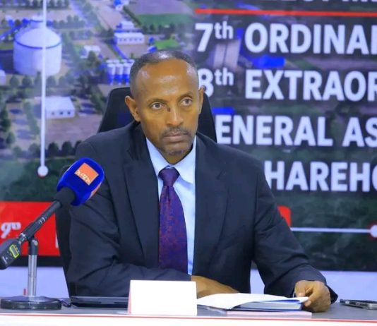 “የዓባይ ስሚንቶ ፋብሪካ የድካም ፍሬውን ሊሰጥ በጥሩ ደረጃ ላይ ነው” አቶ መላኩ አለበል