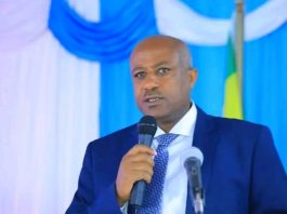 በዲጂታል ክህሎት ያልታገዘ የሀገር እድገት አዝጋሚ ነው።