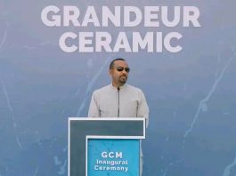 ፋብሪካው በኢትዮጵያ የኢንዱስትሪ ሽግግር ጉዞ ውስጥ ትልቅ ምዕራፍ ያመላከተ ነው።