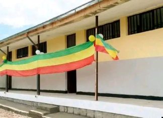 ከ2 ነጥብ 6 ቢሊዮን ብር በላይ በኾነ ወጭ የትምህርት ቤቶች ግንባታ እየተከናወነ መኾኑን የሰሜን ሸዋ ዞን አስታወቀ።