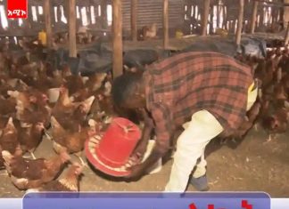 ከዶሮ ቤት ማደር እስከ ታክሲ ባለንብረትነት የዘለቀው የወጣትነት የስኬት ጉዞ።