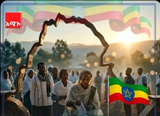 🗳️ ነጋችሁን በካርዳችሁ ምረጡ !