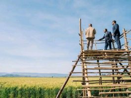 ጠቅላይ ሚኒስትር ዐቢይ አሕመድ (ዶ.ር) በኦሮሚያ ክልል ሰሜን ሸዋ ዞን ሱልልታ ወረዳ የስንዴ ልማትን ጎበኙ።