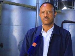 በባሕር ዳር ከተማ ውስጥ የሚያለሙ አምራች ኢንዱስትሪዎችን ችግሮች ለመፍታት እየተሠራ ነው።