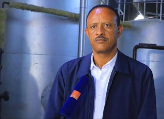 በባሕር ዳር ከተማ ውስጥ የሚያለሙ አምራች ኢንዱስትሪዎችን ችግሮች ለመፍታት እየተሠራ ነው።