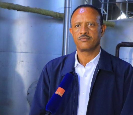 በባሕር ዳር ከተማ ውስጥ የሚያለሙ አምራች ኢንዱስትሪዎችን ችግሮች ለመፍታት እየተሠራ ነው።