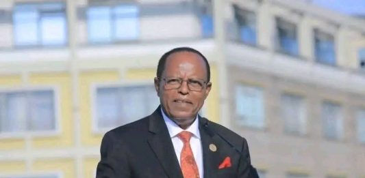 “ጀግንነት ከሁሉም በፊት ሀገርን ማስቀደም ነው” ፕሬዝዳንት ታዬ አጽቀ ሥላሴ