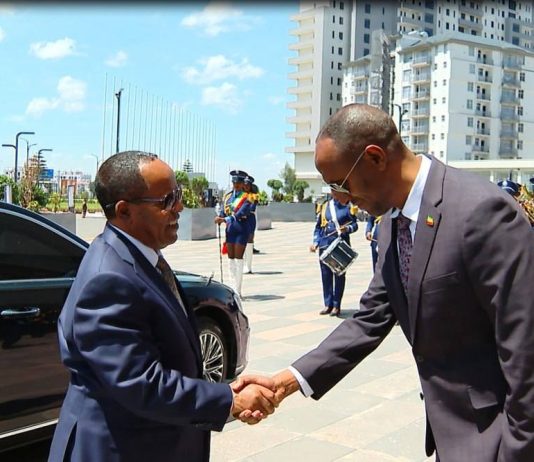 “የኢንዱስትሪው ዘርፍ ለሀገር እድገት መደላድል ነው” የኢፌዴሪ ፕሬዝደንት ታየ አጽቀሥላሴ