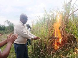 ጣና በለስ ስኳር ፋብሪካ የኃይል አቅርቦት ችግሩን ቀርፎ ወደማምረት ሊገባ ነው።