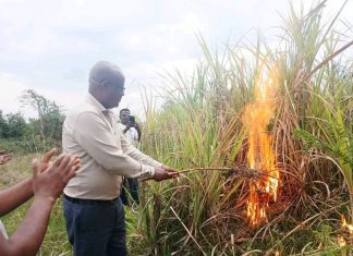 ጣና በለስ ስኳር ፋብሪካ የኃይል አቅርቦት ችግሩን ቀርፎ ወደማምረት ሊገባ ነው።