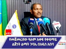 የመጀመሪያው ዓለም አቀፍ የቀዳማይ ልጅነት ልማት ጉባኤ በአዲስ አበባ ሊካሄድ ነው።