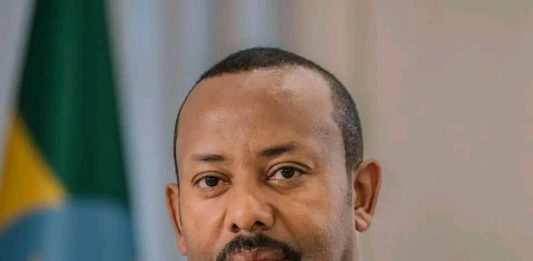 ጠቅላይ ሚኒስትር ዐቢይ አሕመድ (ዶ.ር) ከኔዘርላንድስ ጠቅላይ ሚኒስትር ሮብ ጄተን ጋር ተወያዩ።