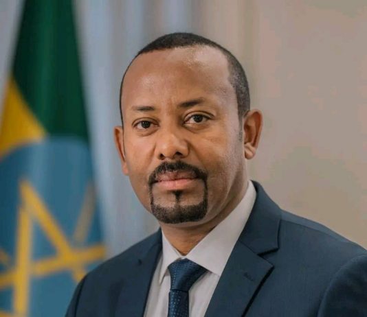 ጠቅላይ ሚኒስትር ዐቢይ አሕመድ (ዶ.ር) ከኔዘርላንድስ ጠቅላይ ሚኒስትር ሮብ ጄተን ጋር ተወያዩ።