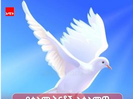 የአማራ ክልል የሰላም እናቶች ለማኅበረሰቡ ሰላም እና ለምርጫው ስኬት እየሠሩ ነው።