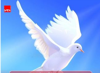 የአማራ ክልል የሰላም እናቶች ለማኅበረሰቡ ሰላም እና ለምርጫው ስኬት እየሠሩ ነው።