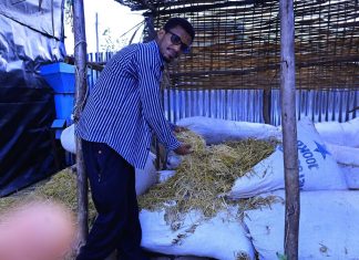 ከገለባ ወረቀት የማምረት ብቃት በተግባር !
