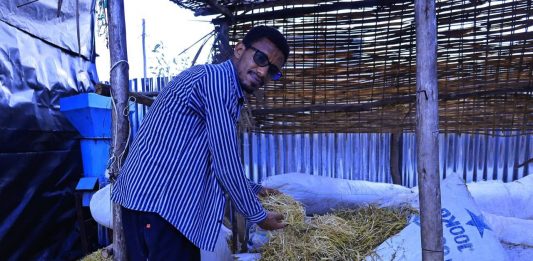 ከገለባ ወረቀት የማምረት ብቃት በተግባር !