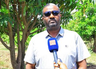 የንጹሕ ውኃ አቅርቦትን እና የአርሶ አደሮችን ተጠቃሚነት ያረጋገጠው የማንጎ ልማት።