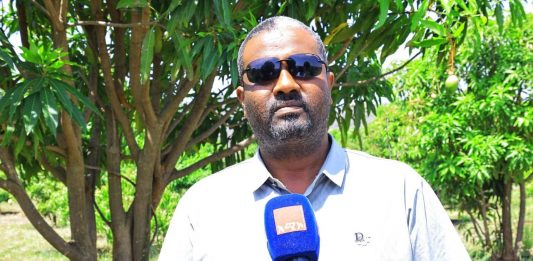 የንጹሕ ውኃ አቅርቦትን እና የአርሶ አደሮችን ተጠቃሚነት ያረጋገጠው የማንጎ ልማት።