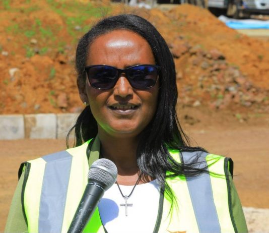 “በእንጅባራ ከተማ በመገንባት ላይ የሚገኙ ፕሮጀክቶች የብልጽግናን ጉዞ የሚያፋጥኑ ናቸው” ሙሉነሽ ደሴ (ዶ.ር)