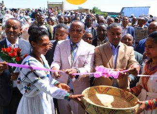 በደቡብ ጎንደር ዞን እና በደብረታቦር ከተማ አሥተዳደር የተገነቡ መሠረተ ልማቶች ለአገልግሎት ክፍት ኾኑ።