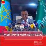 ኢትዮጵያ በደቡብ አፍሪካ የሚገኙ ዜጎቿን ለመጠበቅ ልዑክ ልትልክ ነው። 704570566_1425019286322658_2932670213983010628_n