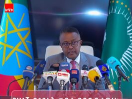 ኢትዮጵያ በደቡብ አፍሪካ የሚገኙ ዜጎቿን ለመጠበቅ ልዑክ ልትልክ ነው።