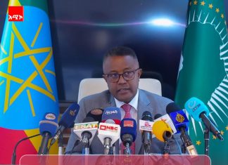 ኢትዮጵያ በደቡብ አፍሪካ የሚገኙ ዜጎቿን ለመጠበቅ ልዑክ ልትልክ ነው።