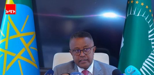 ኢትዮጵያ በደቡብ አፍሪካ የሚገኙ ዜጎቿን ለመጠበቅ ልዑክ ልትልክ ነው።