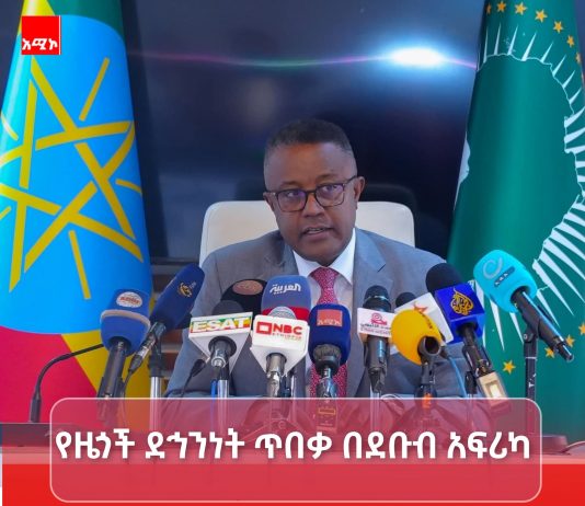 ኢትዮጵያ በደቡብ አፍሪካ የሚገኙ ዜጎቿን ለመጠበቅ ልዑክ ልትልክ ነው።