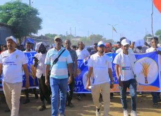 በደቡብ ወሎ ዞን በአርጎባ ብሔረሰብ ልዩ ወረዳ “በላቀ የወጣቶች ተሳትፎ ፤ ኢትዮጵያን ወደ ተምሳሌት ሀገር!” በሚል መሪ ሀሳብ የብልጽግና ፓርቲ የወጣቶች ክንፍ አስተባባሪነት የምርጫ ቅስቀሳ እየተካሄደ ነዉ ።