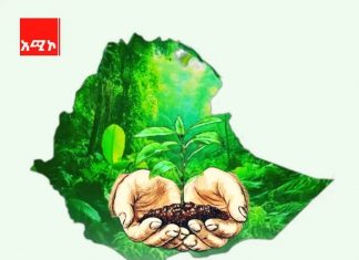 ☘️🌿በአማራ ክልል ከ1 ነጥብ 7 ቢሊዮን በላይ ችግኝ ለአረንጓዴ አሻራ መርሃ ግብር ተዘጋጅቷል።