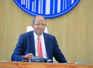 ኢትዮጵያ ከአራት ሀገራት ጋር ያደረጋቻቸው የአየር አገልግሎት ስምምነቶች በአዋጅ ጸደቁ።