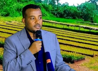 🌿 ዛሬ የሚተከሉ ችግኞች የነገው ትውልድ ህልውና ናቸው።