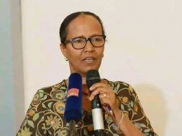 “የዚህ ዓመት የአረንጓዴ አሻራ ተግባር ዲጅታላይዝ በኾነ አሠራር ይከናወናል” ግብርና ቢሮ