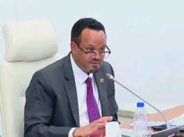 “ኢትዮጵያ የኢኮኖሚ እድገት ካስመዘግቡ ሀገራት ቀዳሚ መኾን ችላለች” አቶ አሕመድ ሽዴ