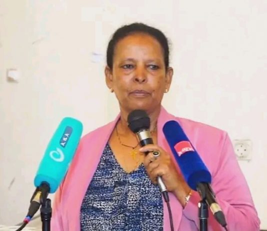 ጡረተኞች ያላቸውን የሕይወት ልምድ እና ዕውቀት ለሀገር ዕድገት እና ለሰላም ግንባታ ሊጠቀሙት ይገባል።