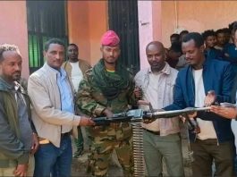 🕊በሰሜን ጎጃም ዞን ከ500 በላይ ታጣቂዎች የሰላም አማራጭን ተቀብለዋል።