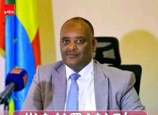 የሰላም ጥረቱ በክልሉ የተሻለ የትራንስፖርት እና የንግድ እንቅስቃሴ እንዲኖር አስችሏል” እሸቱ የሱፍ (ዶ.ር)